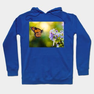 Monarch Butterfly Landing Photograph Hoodie